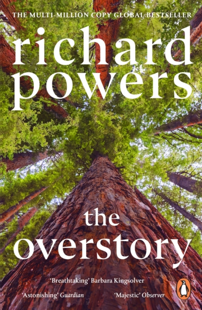 Front cover of The Overstory by Richard Powers, paperback