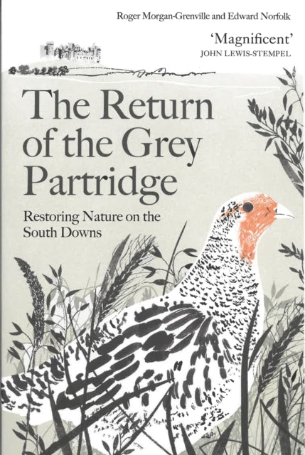 The Return of the Grey Partridge : Restoring Nature on the South Downs - Edward Norfolk