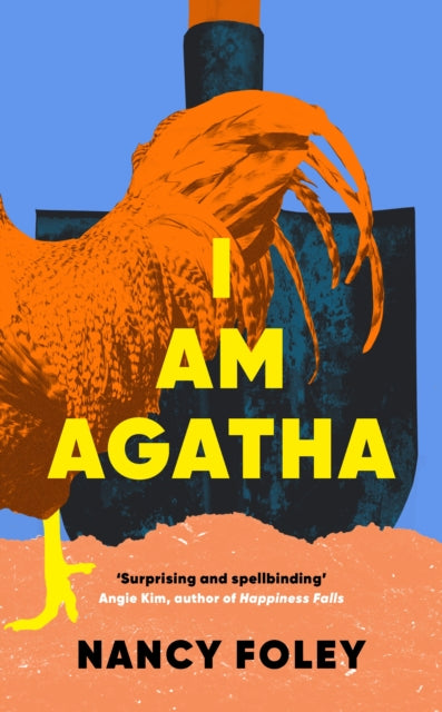 Front cover of I Am Agatha by Nancy Foley, hardback