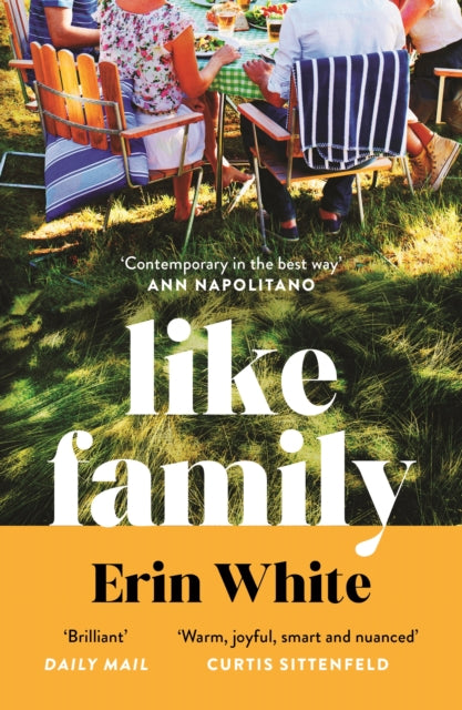 Front cover of Like Family by Erin White, paperback