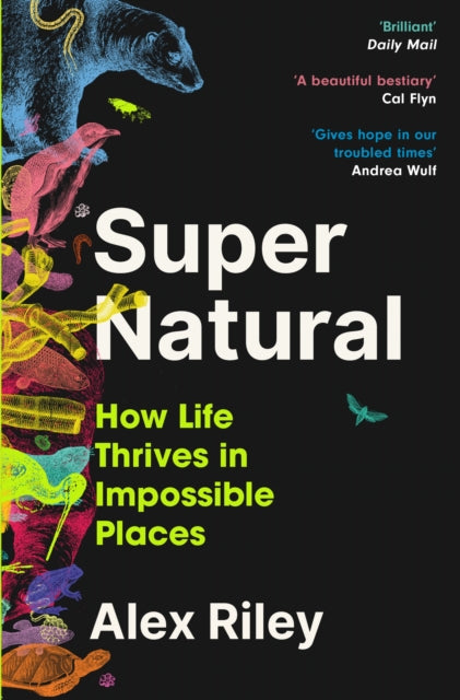 Front cover of Super Natural by Alex Riley, paperback