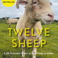 Twelve Sheep : Life lessons from a lambing season
