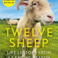 Twelve Sheep : Life lessons from a lambing season