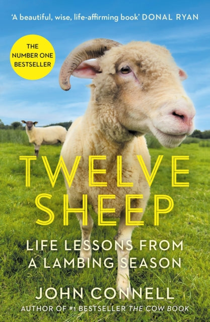 Twelve Sheep : Life lessons from a lambing season