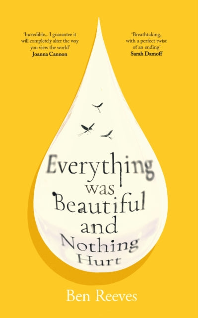 Everything was Beautiful and Nothing Hurt : `Incredible... I guarantee it will completely alter the way you view the world' Joanna Cannon - Ben Reeves
