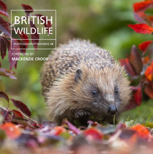 Front cover of British Wildlife Photography Awards 14 by Will Nicholls, hardback