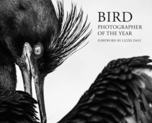 Bird Photographer of the Year 2026 - Will Nicholls