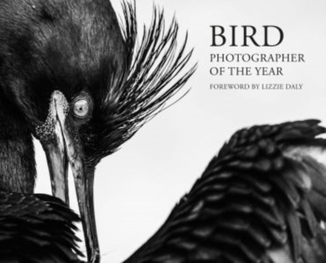 Bird Photographer of the Year 2026 - Will Nicholls