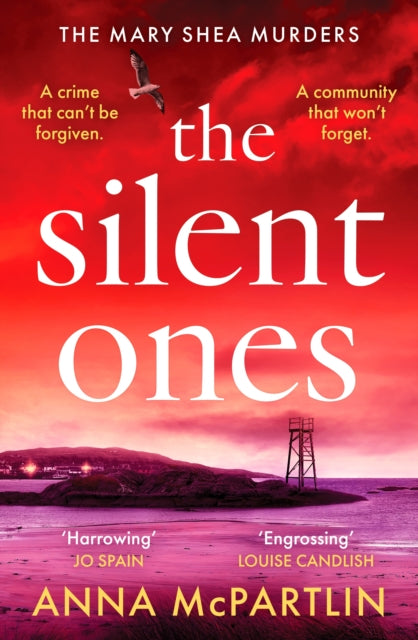 The Silent Ones : An unmissable Irish crime thriller from an international bestseller - Anna McPartlin