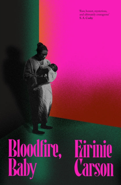 Bloodfire, Baby : a gothic tale about motherhood, ghosts and heritage - Eirinie Carson