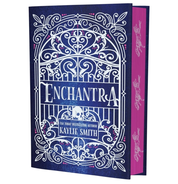 Front cover of Enchantra by Kaylie Smith, hardback