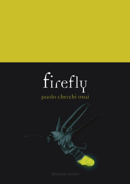 Firefly - Paolo Cherchi Usai