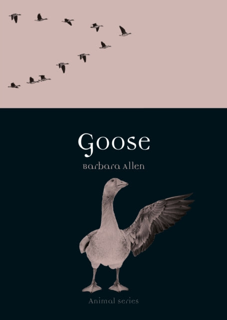 Goose - Barbara Allen