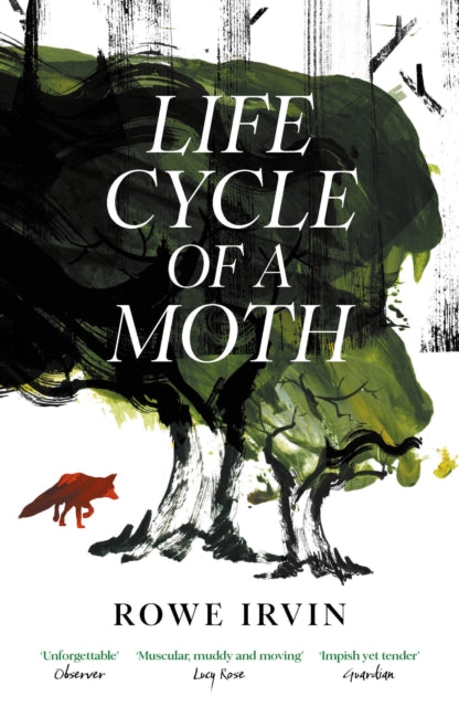 Front cover of Life Cycle of a Moth by Rowe Irvin, paperback