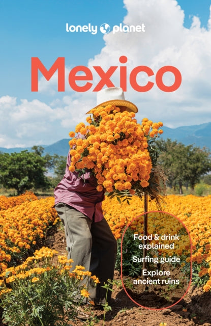 Lonely Planet Mexico : Plan the Trip of a Lifetime | Detailed Itineraries & Maps | Insider Tips | Covers ETulum, Oaxaca, Copper Canyon and more - Anna Kaminski