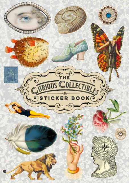 Front cover of The Curious Collections Sticker Book by Grace Wilmshurst, paperback