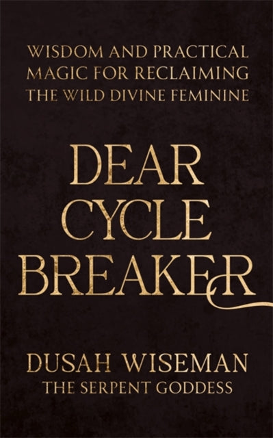 Front cover of Dear Cycle Breaker by Dusah Wiseman, paperback