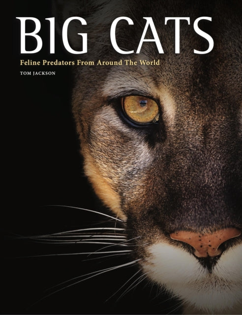 Big Cats : Feline Predators From Around The World - Tom Jackson