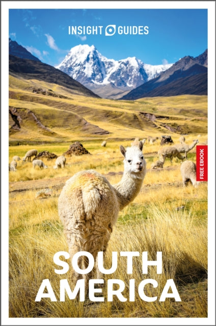 Insight Guides South America: Travel Guide with eBook - Robert Savage