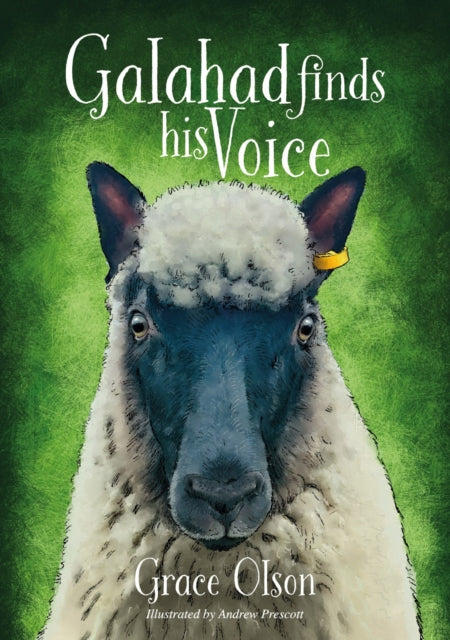 Front cover of Galahad finds his Voice by Grace Olson, paperback