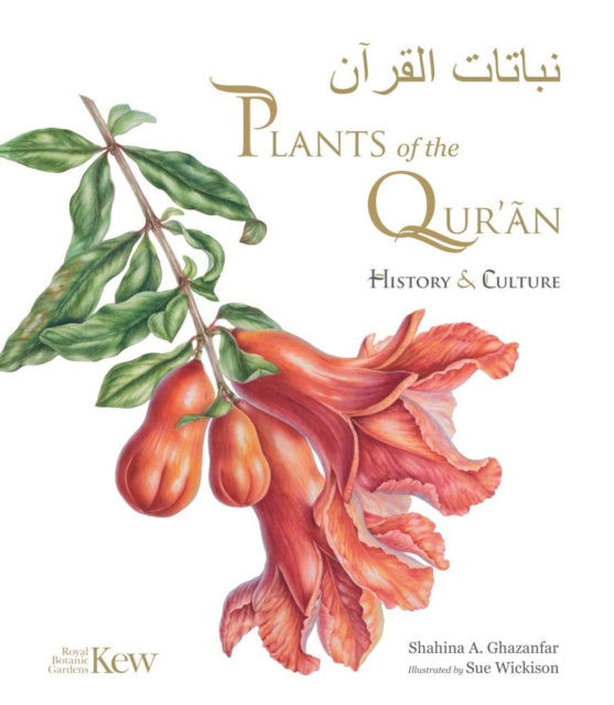 Plants of the Quran : History & Culture - Shahina A. Ghazanfar
