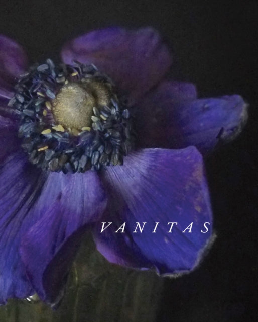Vanitas - Marzena Pogorzaly