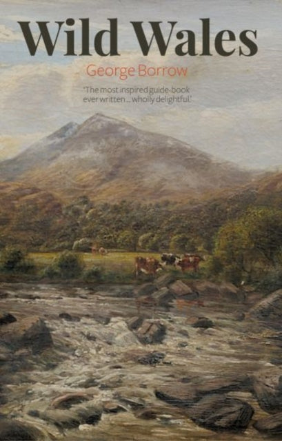 Wild Wales - George Borrow