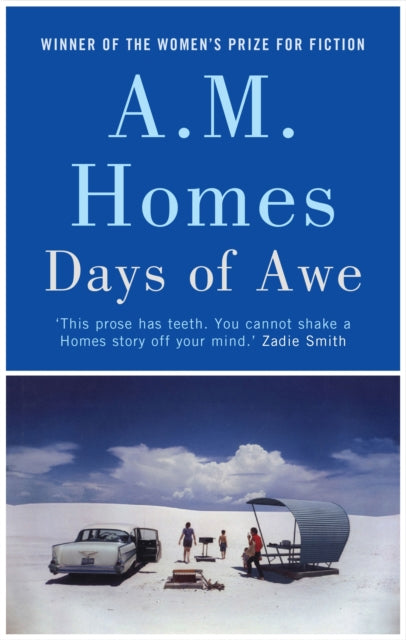 Front cover of Days of Awe by A.M. Homes, hardback