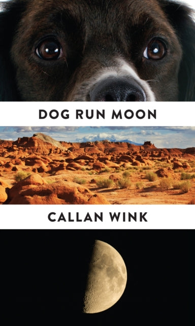 Dog Run Moon : Stories - Callan Wink