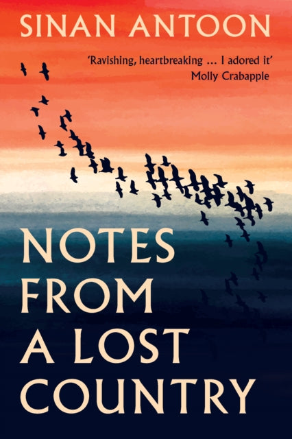 Notes from a Lost Country - Sinan Antoon