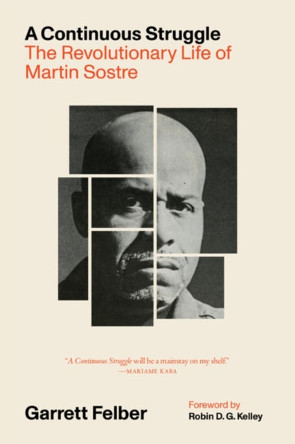 A Continuous Struggle : The Revolutionary Life of Martin Sostre