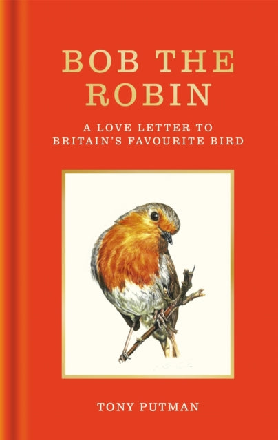Bob the Robin : A true story of the friendship between one man and Britain's favourite garden bird - Tony Putman