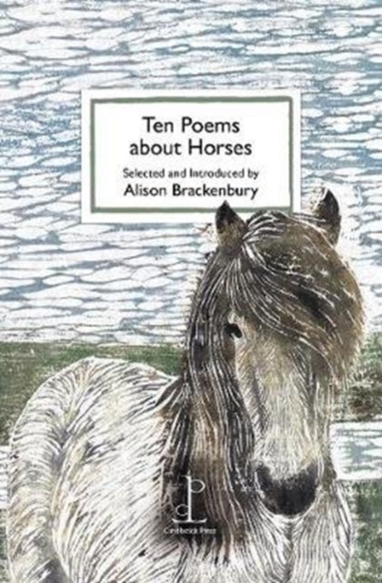 Ten Poems about Horses - Alison Brackenbury