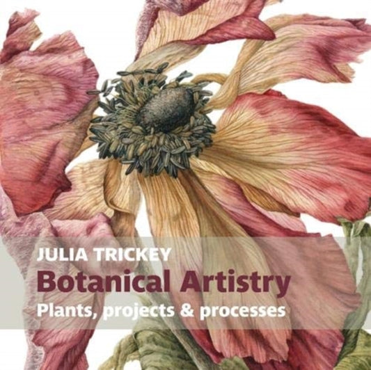 Botanical Artistry : Plants, projects and processes - Julia Trickey