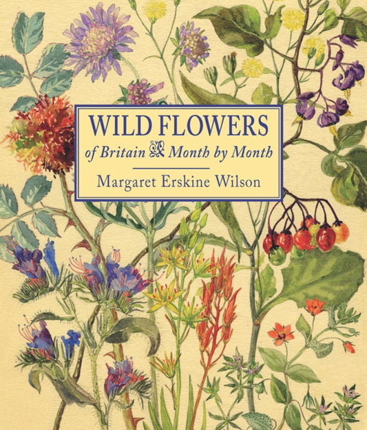 Wild Flowers of Britain : Month by Month - Margaret Erskine Wilson