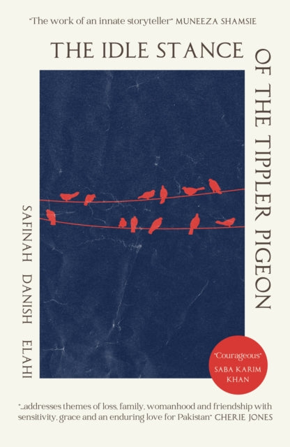 The Idle Stance of the Tippler Pigeon - Safinah Danish Elahi