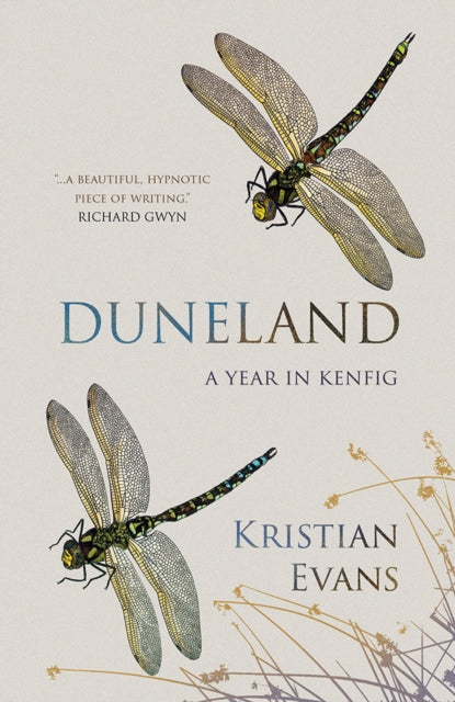 Duneland : A Year in Kenfig - Kristian Evans