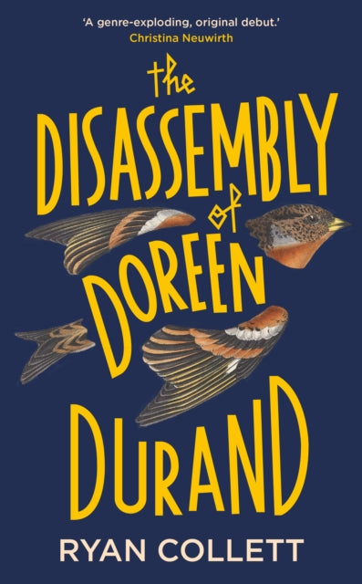 Front cover of The Disassembly of Doreen Durand by Ryan Collett, hardback