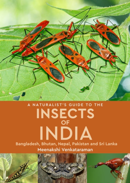 A Naturalist's Guide to the Insects of India - Meenakshi Venkataraman