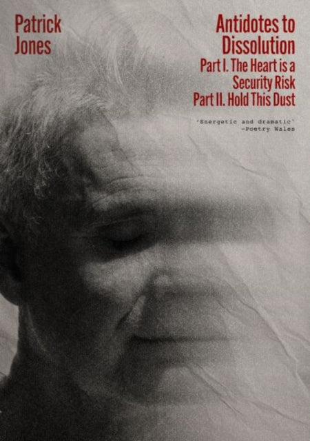 Antidotes to Dissolution - Patrick Jones