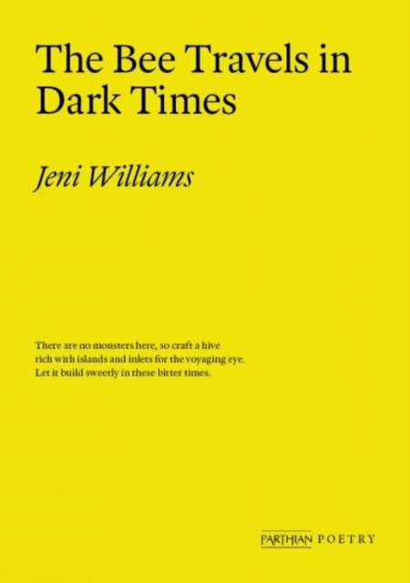 The Bee Travels in Dark Times - Jeni Williams