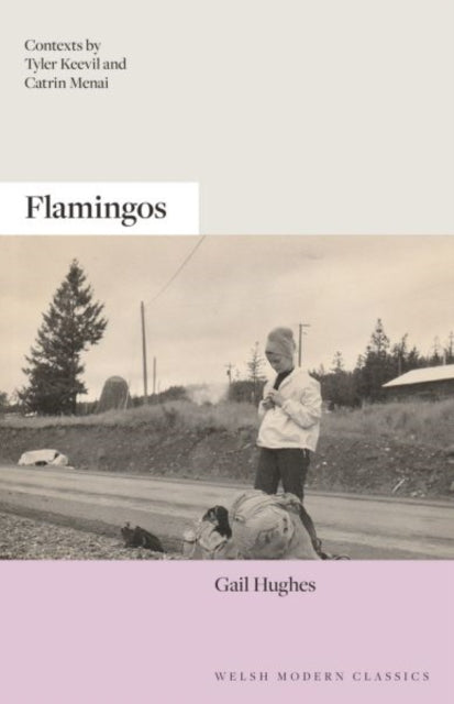 Front cover of Flamingos by Gail Hughes, paperback