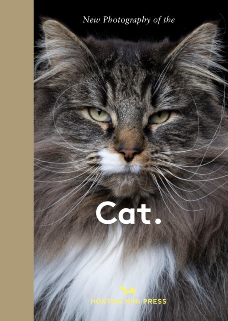 Front cover of New Photography of the Cat. by Hoxton Mini Press, hardback