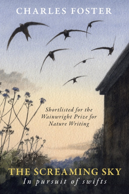 The Screaming Sky : in pursuit of swifts - Charles Foster
