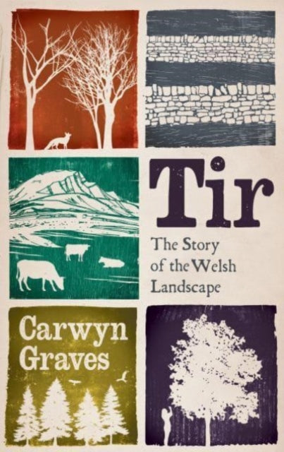 Front cover of Tir by Carwyn Graves, hardback
