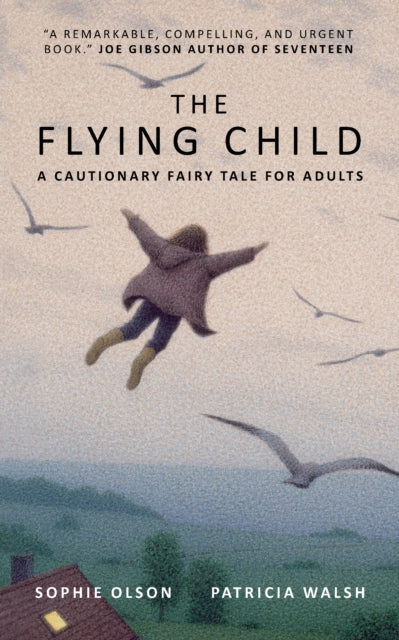 The Flying Child - A Cautionary Fairytale for Adults : Finding a purposeful life after Child Sexual Abuse through compassionate and creative therapy - Sophie Olson