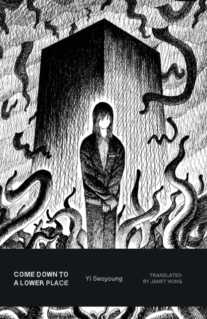 Front cover of Come Down to a Lower Place by Janet Hong, paperback