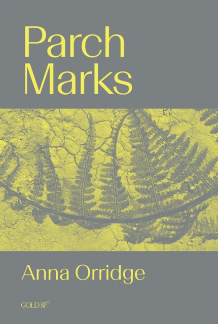 Parch Marks - Anna Orridge