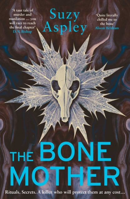 Front cover of The Bone Mother by Suzy Aspley, paperback