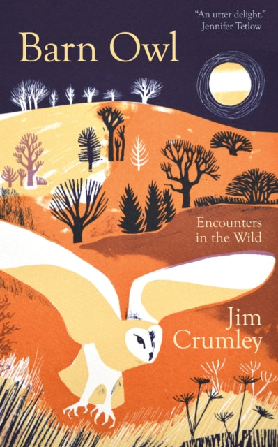 Barn Owl - Jim Crumley